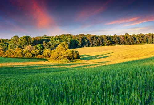 1651210430150215.png image.png