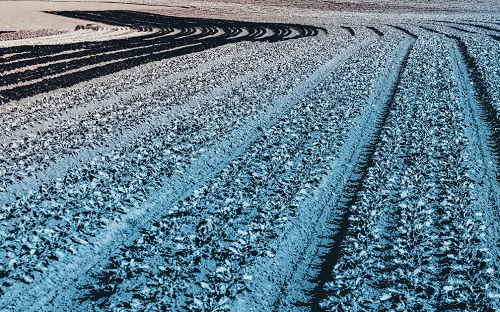 1655176354363767.png image.png