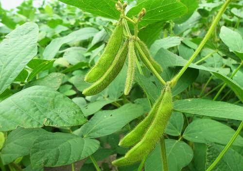 1655693232842200.png image.png