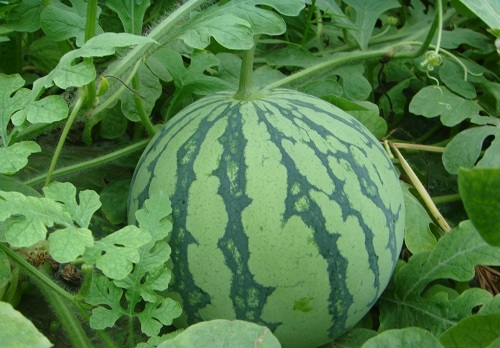 1661742869946077.png image.png