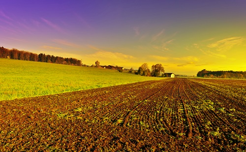 1662435323138379.png image.png