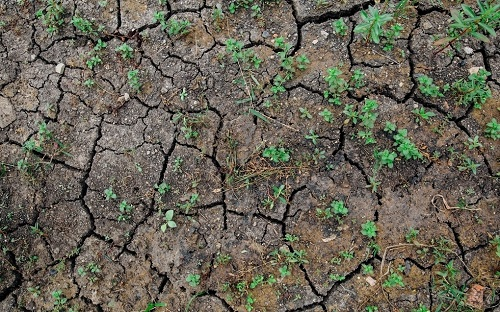 1675230638178740.png image.png